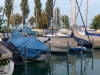 bodenseegeln (31)