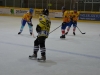 rsfc_eh_2013_0047