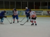 rsfc_eh_2013_0081