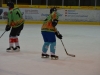 rsfc_eh_2013_0090