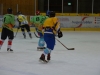 rsfc_eh_2013_0091