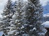 RSFC_SW_2025_44