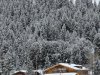 RSFC_SW_2025_68